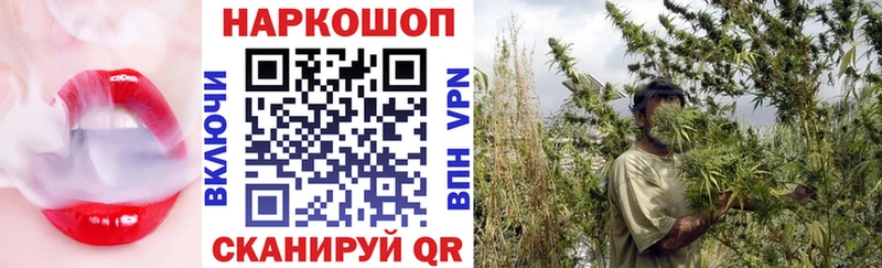 Купить наркоту Зерноград гидра маркетплейс Мефедрон ГАШ МАРИХУАНА А ПВП
