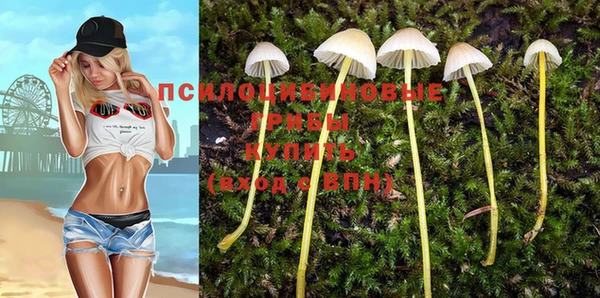 прущие крисы Абаза