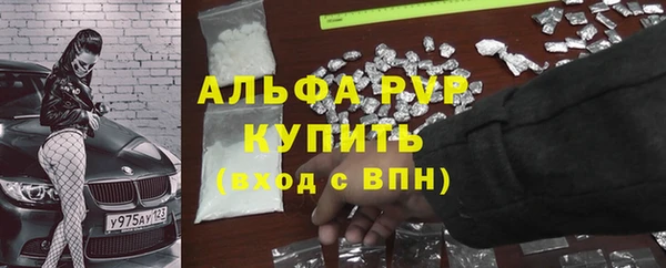 ГАЛЛЮЦИНОГЕННЫЕ ГРИБЫ Рославль