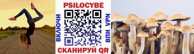 как найти наркотики Зерноград Псилоцибиновые грибы Magic Shrooms